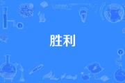 华体会官方平台下载-握紧胜利的手，迎来晋级胜利
