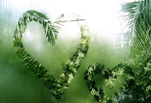 华体会体育APP下载-青岛队轻取马刺，詹姆斯扛起全队的简单介绍