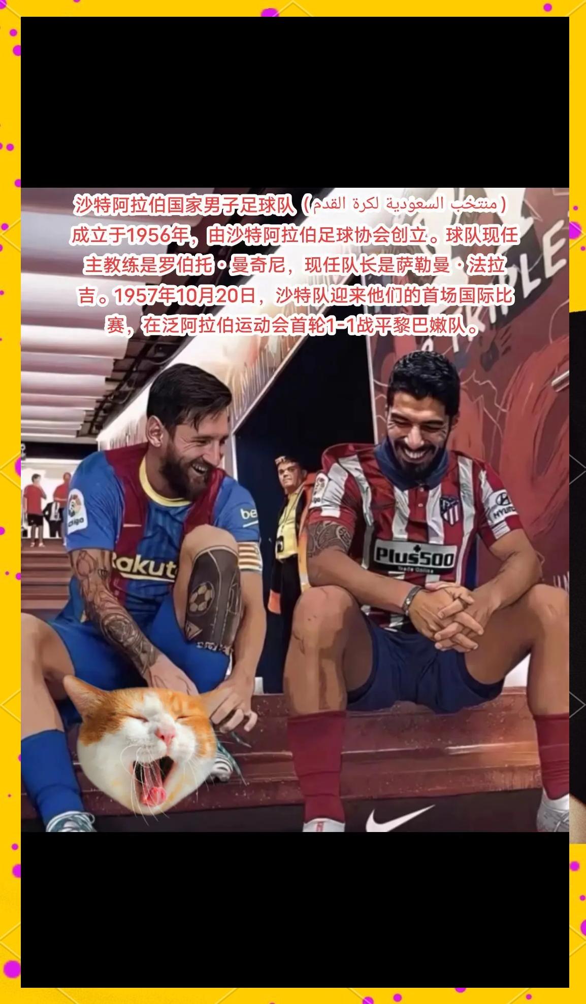 奋勇争先，追逐荣耀的足球梦想的简单介绍