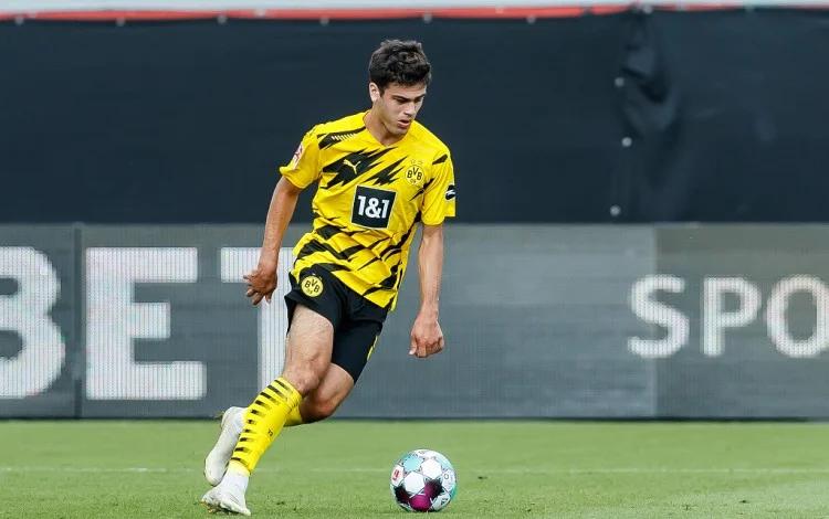 关于多特蒙德青年军表现出色,获得胜利的信息 关于多特蒙德青年军表现出色,获得胜利的信息